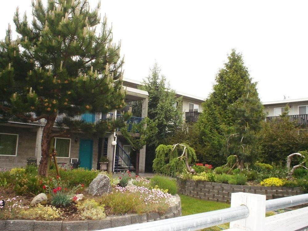 Bayside Motor Inn Blaine Eksteriør billede